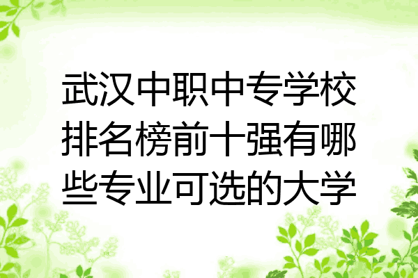 武汉中职中专学校排名榜前十强有哪些专业可选的大学
