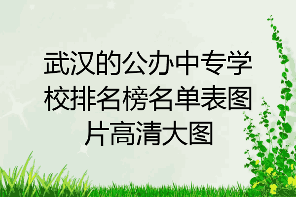 武汉的公办中专学校排名榜名单表图片高清大图