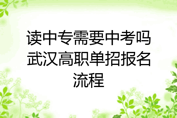 读中专需要中考吗武汉高职单招报名流程