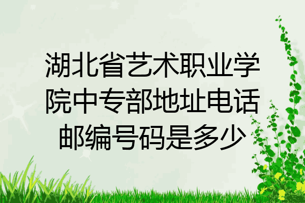 湖北省艺术职业学院中专部地址电话邮编号码是多少