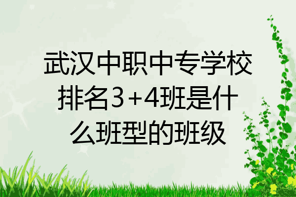 武汉中职中专学校排名3+4班是什么班型的班级