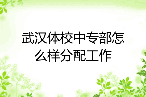 武汉体校中专部怎么样分配工作