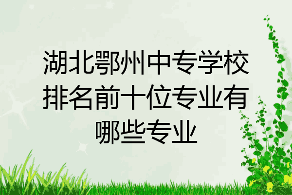 湖北鄂州中专学校排名前十位专业有哪些专业