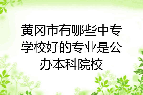 黄冈市有哪些中专学校好的专业是公办本科院校