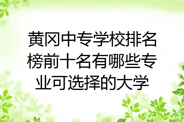 黄冈中专学校排名榜前十名有哪些专业可选择的大学