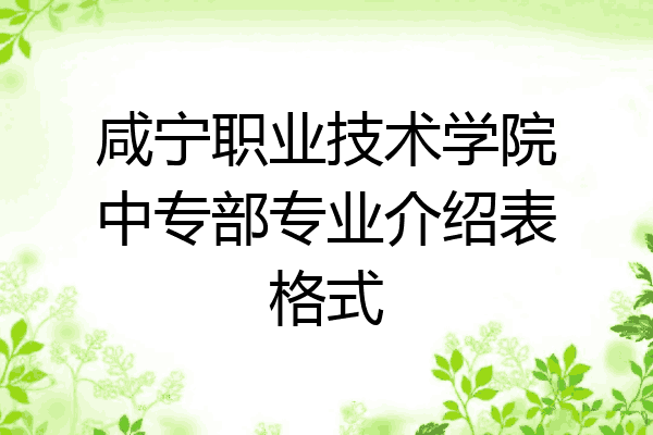 咸宁职业技术学院中专部专业介绍表格式
