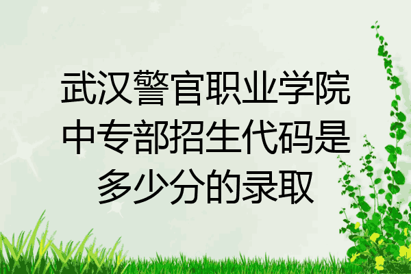 武汉警官职业学院中专部招生代码是多少分的录取