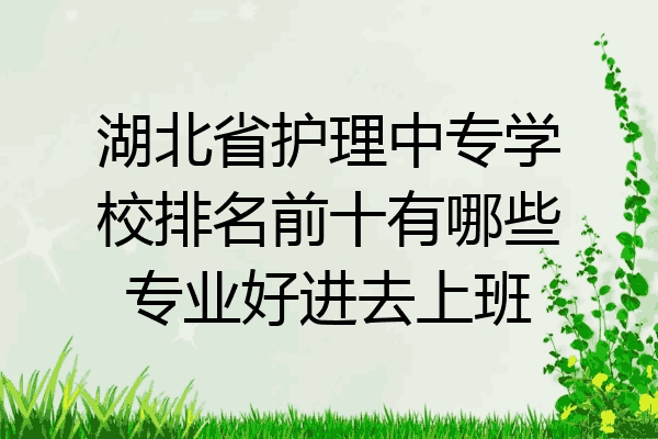 湖北省护理中专学校排名前十有哪些专业好进去上班