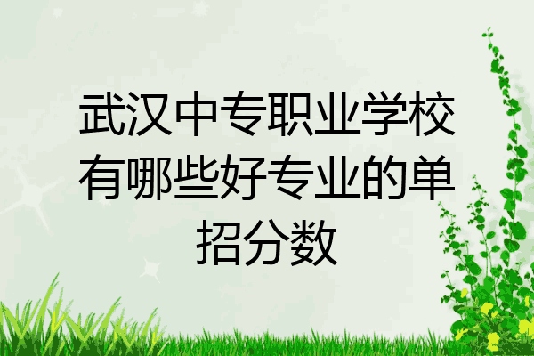 武汉中专职业学校有哪些好专业的单招分数