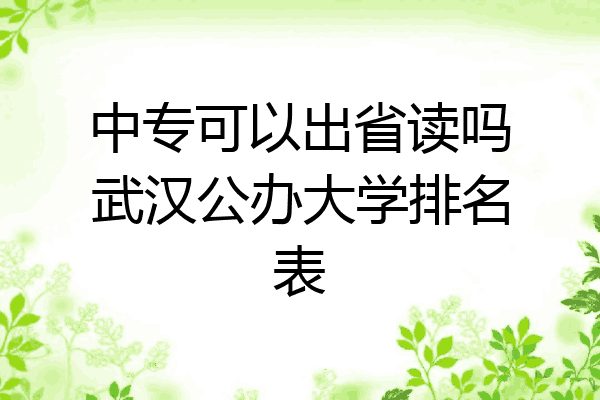 中专可以出省读吗武汉公办大学排名表