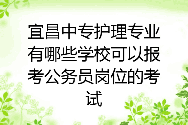 宜昌中专护理专业有哪些学校可以报考公务员岗位的考试
