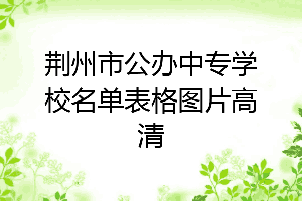 荆州市公办中专学校名单表格图片高清