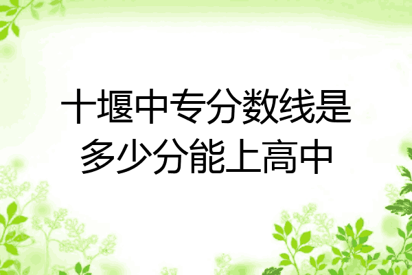 十堰中专分数线是多少分能上高中