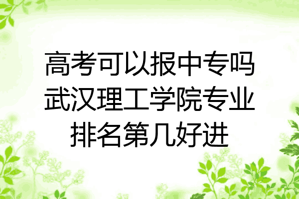 高考可以报中专吗武汉理工学院专业排名第几好进