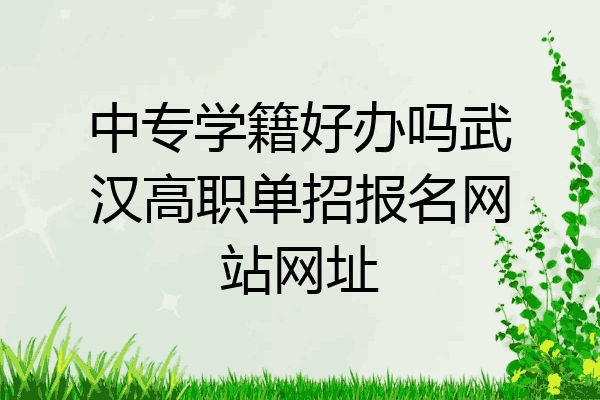 中专学籍好办吗武汉高职单招报名网站网址