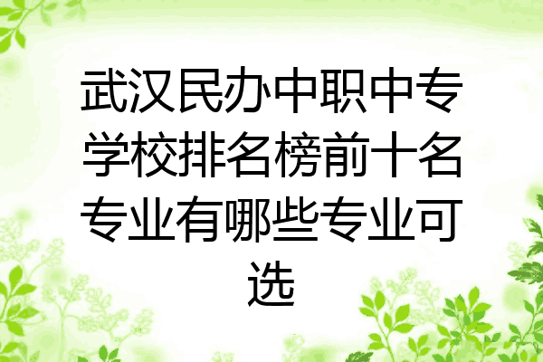 武汉民办中职中专学校排名榜前十名专业有哪些专业可选