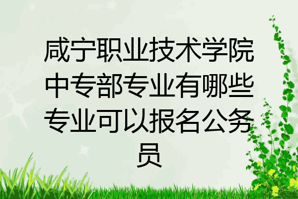咸宁职业技术学院中专部专业有哪些专业可以报名公务员