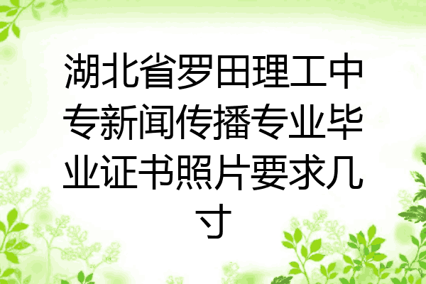 湖北省罗田理工中专新闻传播专业毕业证书照片要求几寸