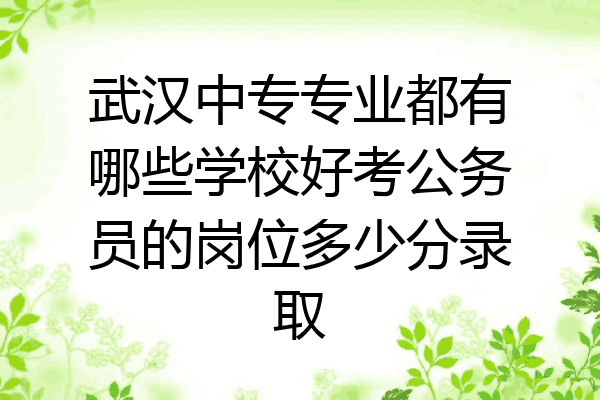 武汉中专专业都有哪些学校好考公务员的岗位多少分录取