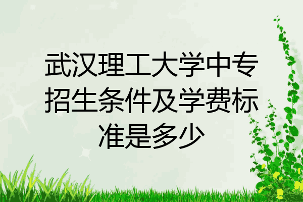 武汉理工大学中专招生条件及学费标准是多少