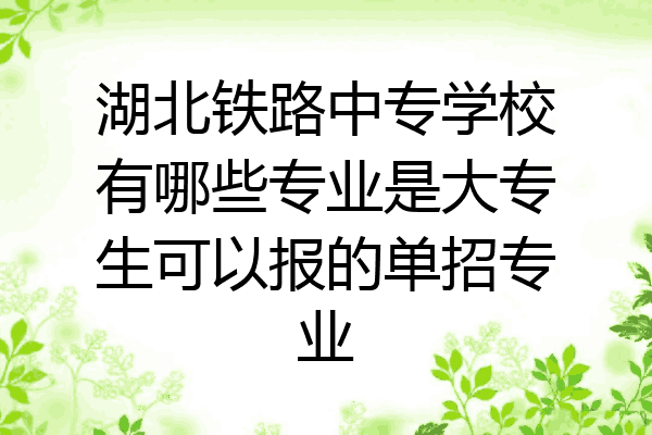 湖北铁路中专学校有哪些专业是大专生可以报的单招专业