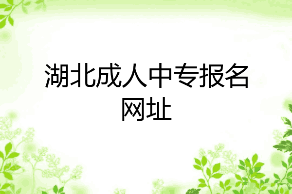 湖北成人中专报名网址