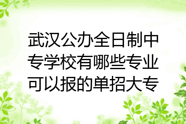 武汉公办全日制中专学校有哪些专业可以报的单招大专