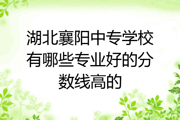 湖北襄阳中专学校有哪些专业好的分数线高的