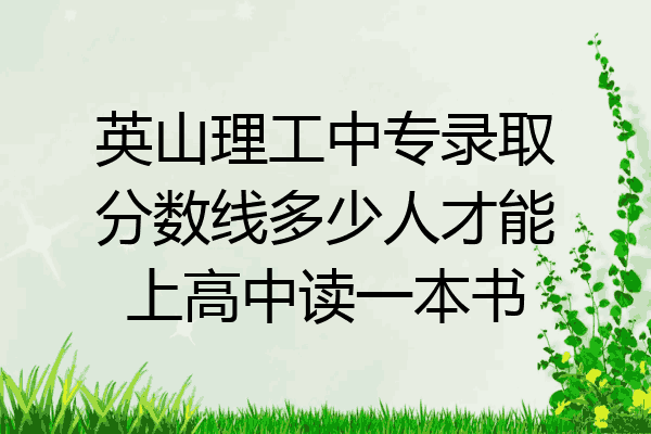 英山理工中专录取分数线多少人才能上高中读一本书