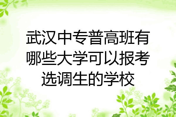 武汉中专普高班有哪些大学可以报考选调生的学校