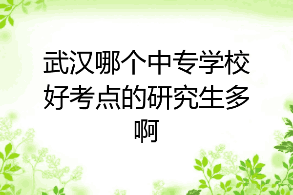 武汉哪个中专学校好考点的研究生多啊
