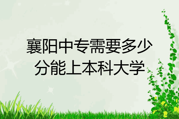 襄阳中专需要多少分能上本科大学
