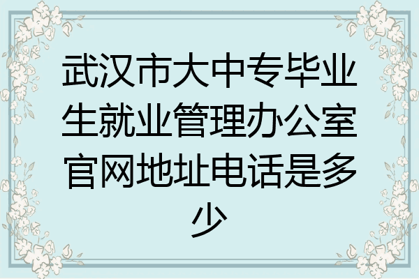 武汉市大中专毕业生就业管理办公室官网地址电话是多少