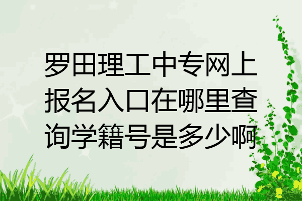 罗田理工中专网上报名入口在哪里查询学籍号是多少啊