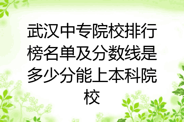 武汉中专院校排行榜名单及分数线是多少分能上本科院校