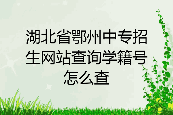 湖北省鄂州中专招生网站查询学籍号怎么查