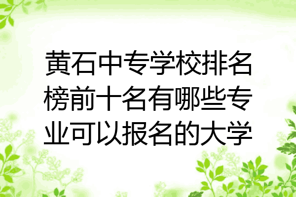 黄石中专学校排名榜前十名有哪些专业可以报名的大学