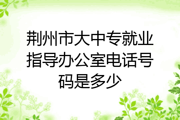 荆州市大中专就业指导办公室电话号码是多少