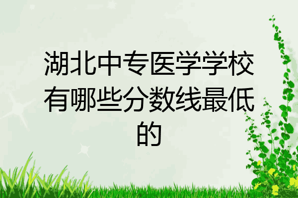 湖北中专医学学校有哪些分数线最低的