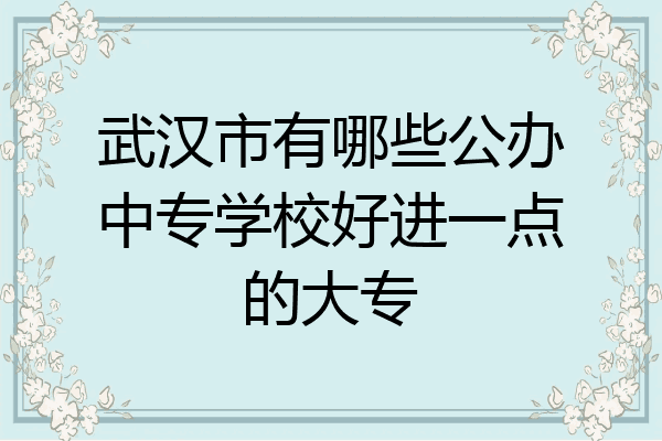 武汉市有哪些公办中专学校好进一点的大专