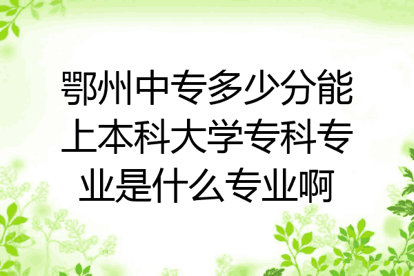 鄂州中专多少分能上本科大学专科专业是什么专业啊
