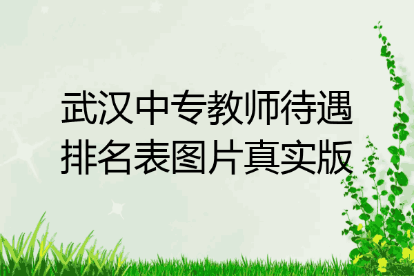 武汉中专教师待遇排名表图片真实版