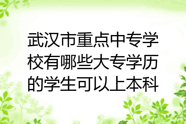 武汉市重点中专学校有哪些大专学历的学生可以上本科