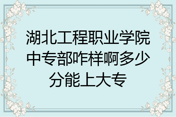 湖北工程职业学院中专部咋样啊多少分能上大专