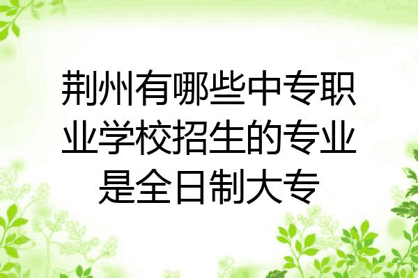 荆州有哪些中专职业学校招生的专业是全日制大专