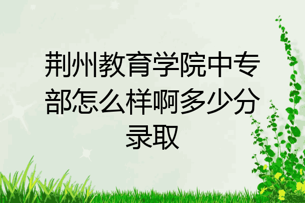 荆州教育学院中专部怎么样啊多少分录取