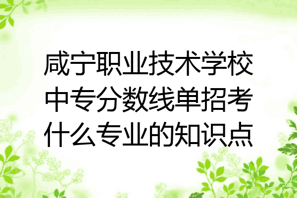 咸宁职业技术学校中专分数线单招考什么专业的知识点