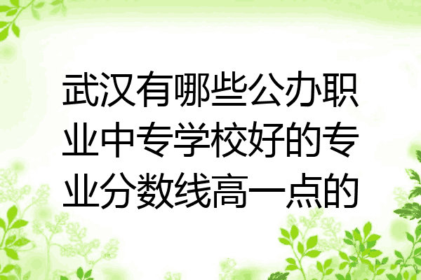 武汉有哪些公办职业中专学校好的专业分数线高一点的