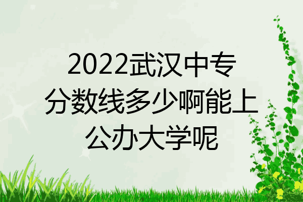 2022武汉中专分数线多少啊能上公办大学呢