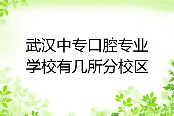 武汉中专口腔专业学校有几所分校区
